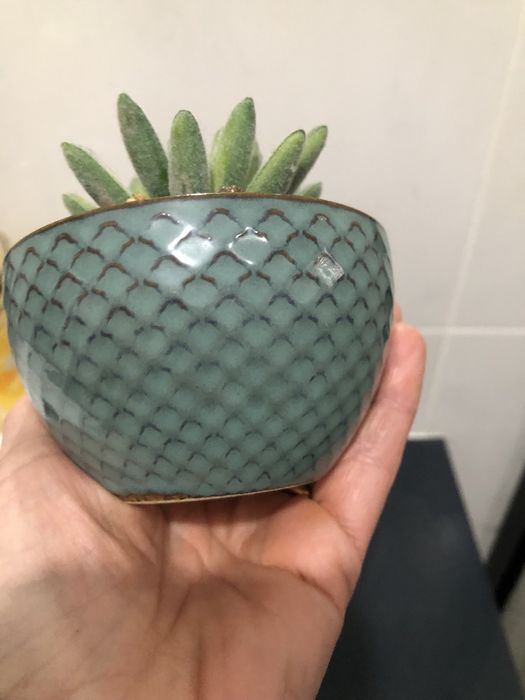 Conjunto de 2 vasinhos decorativos