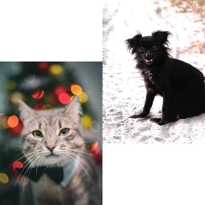 Фотографии Чернігів,весільна,дитяча,студійна зйомка,гулянка,хрещення