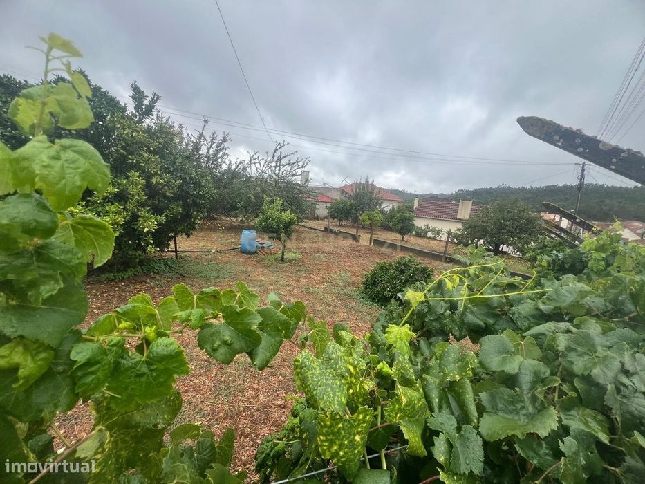 Terreno Plano para Construção | Cabaços | Alvaiázere