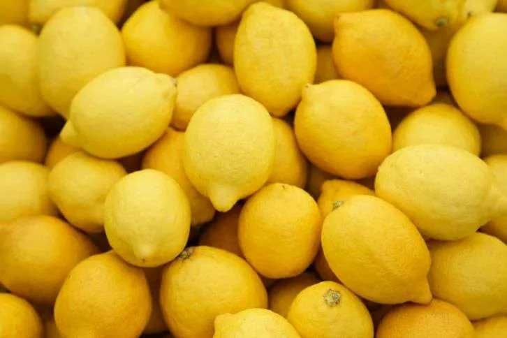 Vendo limoes todo ano