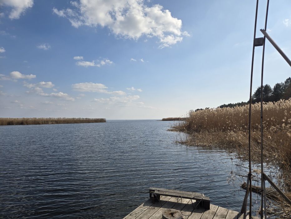 Дача у сосновому лісі біля Дніпра! Стовп’яги, СТ «Славутич»