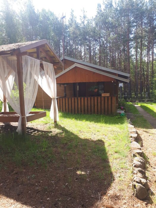 Domek letniskowy do wynajęcia w Ocyplu