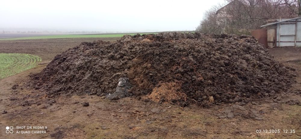 Навоз коровий, свежий,сыпец