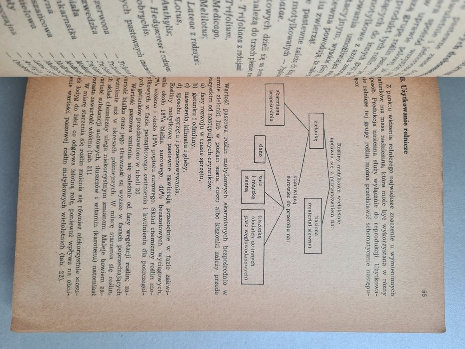 Ogólna uprawa roli i roślin - Książka