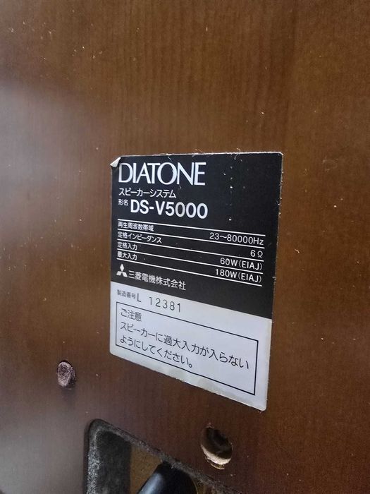 Kolumny Stereo DIATONE DS-V5000