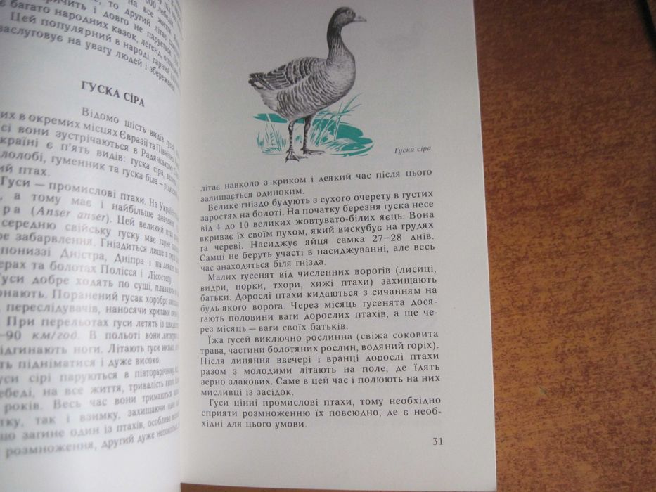 П. Гальченко. Пернаті друзі. Київ Урожай 1978 Зменешений формат