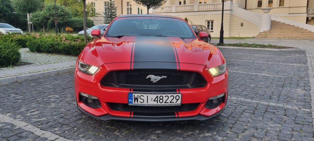 Ford Mustang GT 2017r.