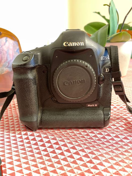 Aparat Canon EOS 1D Mark III