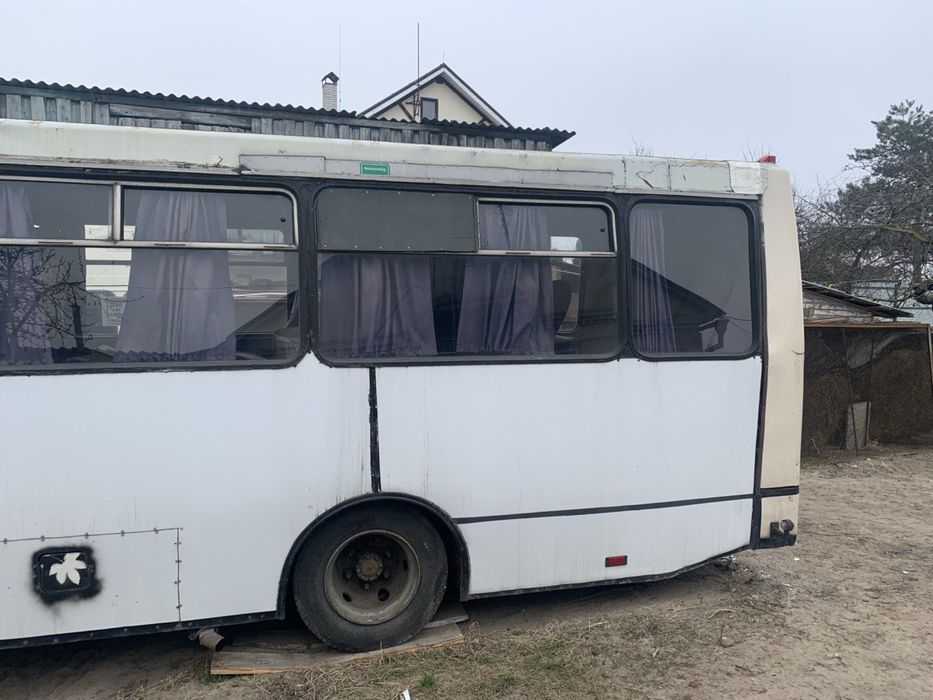 Автобус Богдан Терміново