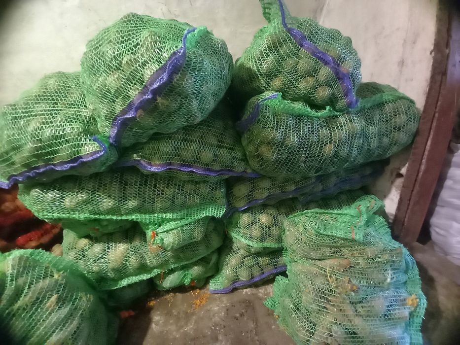 Продам картошку.