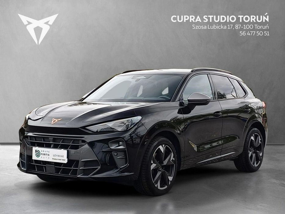 Cupra Terramar