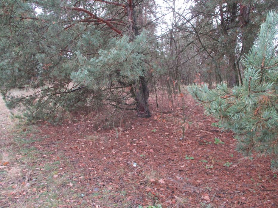 Продаж земельної ділянки 22,47 сот. Київська обл., с.Жукин  9100$