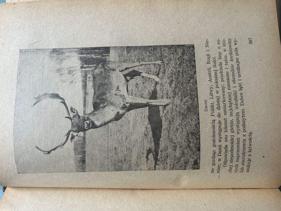 Łowiectwo Wiesław Krawczyński 1947 Podręcznik dla Leśników i Myśliwych