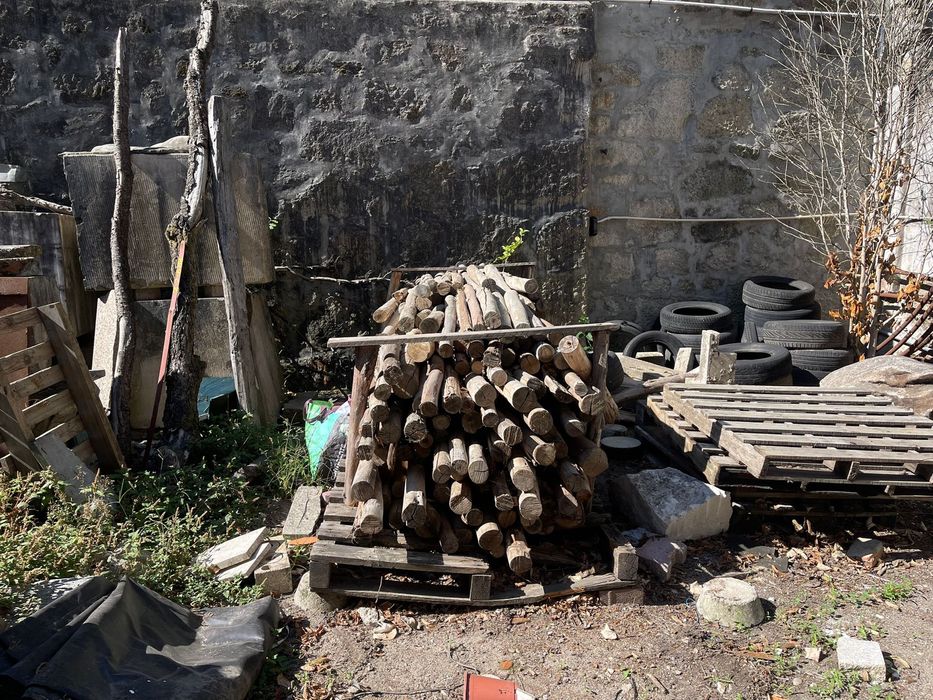 lote de paus de eucalipto usados