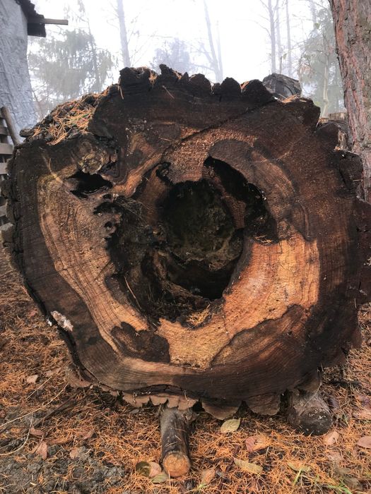 Donica Doniczki z kłody drewna Kwietnik Klomb dekoracja,