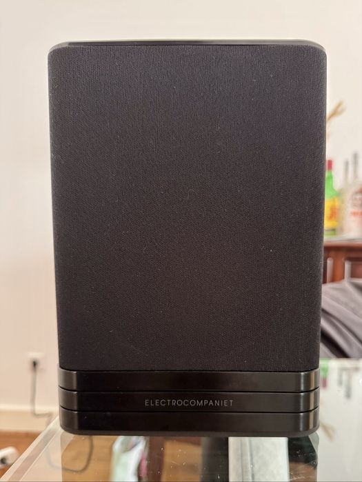 Colunas Activas all-in Electrocompaniet Tana SL-1  + L1