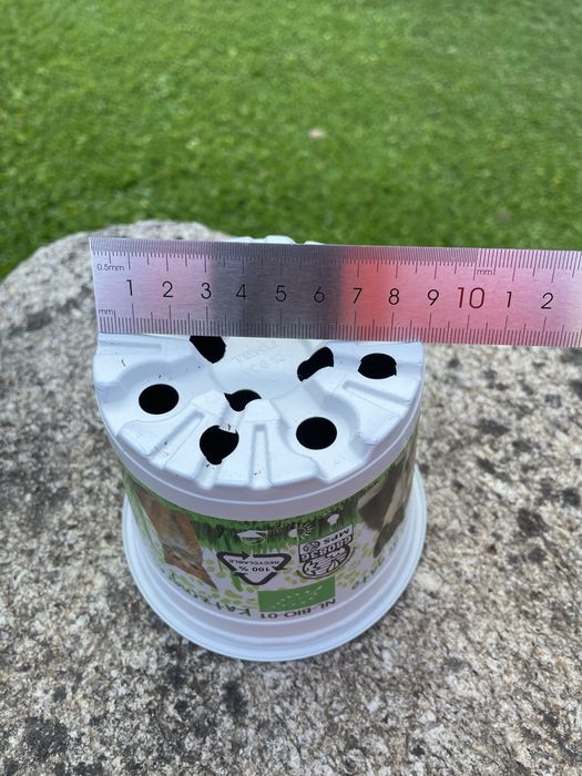 Conjunto de 50 vasos de plástico 12 cm. Gato