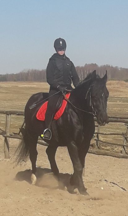 Ogier śląski Jurand możliwa zamiana