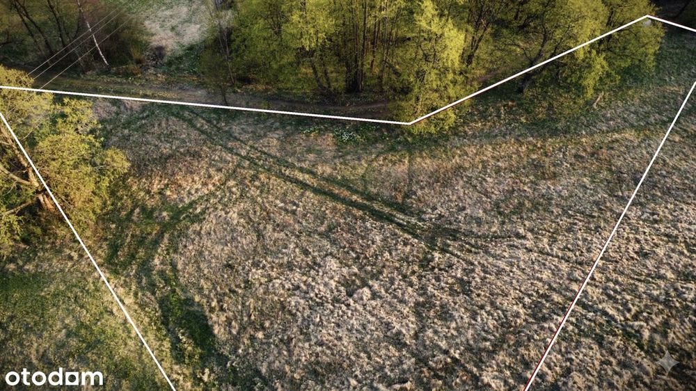 "SUDECKIE BIESZCZADY" Piękna działka w górach! Masyw Śnieżnika JODŁÓW - Widok 4