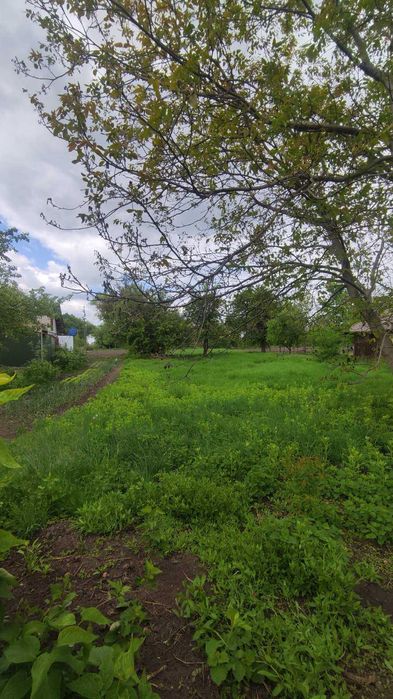 Продаж земельної ділянки в с. Слобода, Обухівський (Кагарлицький) р-н