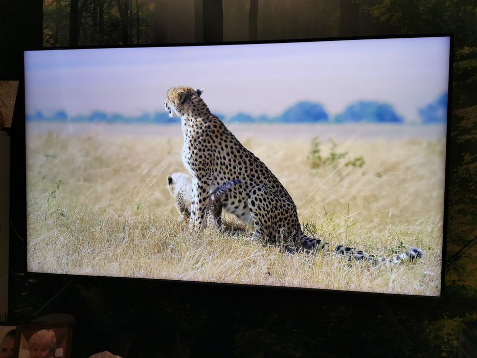 Telewizor 55  Samsung 4k Ultra HD HDR 2022 rok