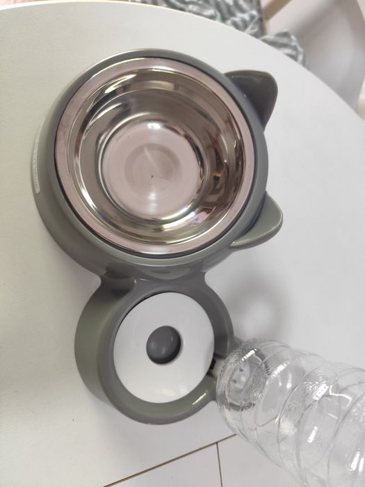 Kit completo para gato bebé