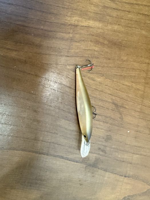 Amostra Rapala como nova