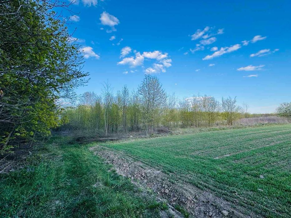 Продаж земельної ділянки в с. Якушинці