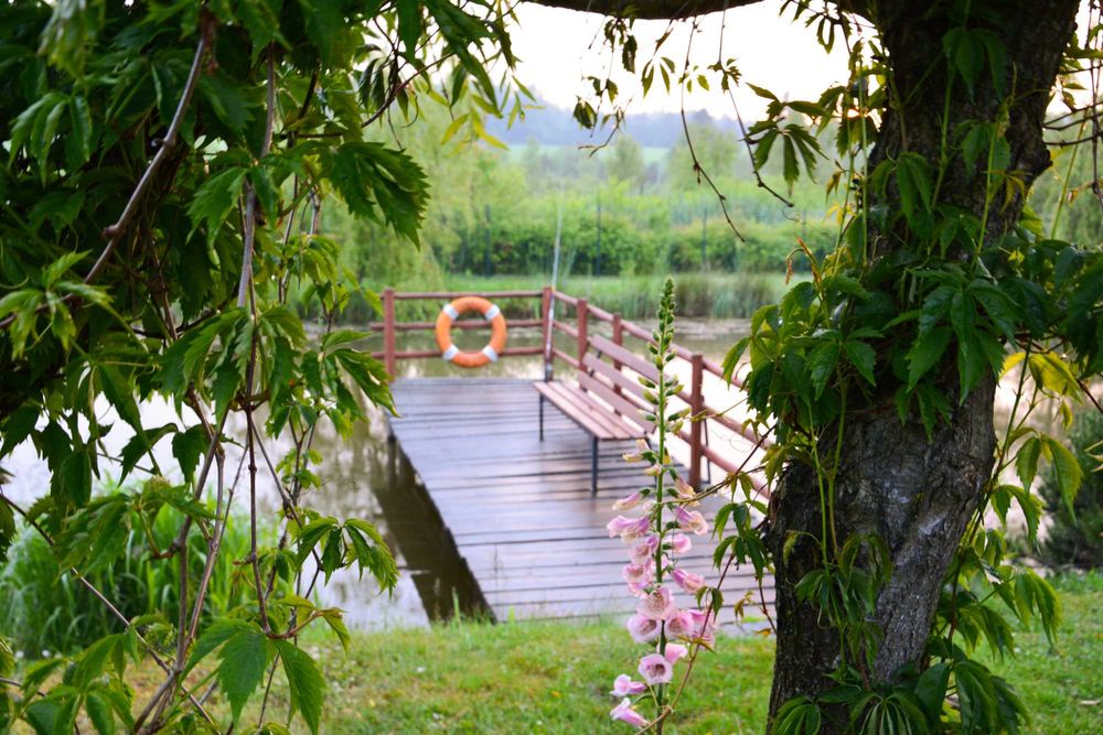 Domek całoroczny na Kaszubach Wynajem Noclegi