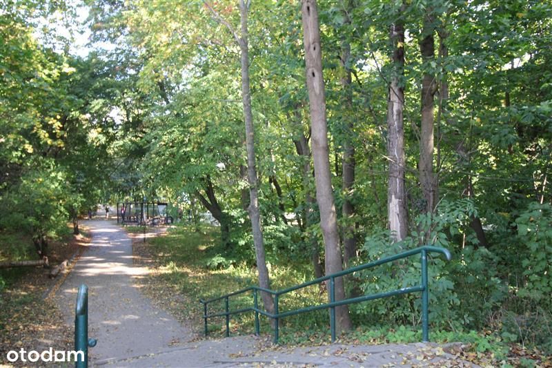Gdynia Orłowo pas nadmorski