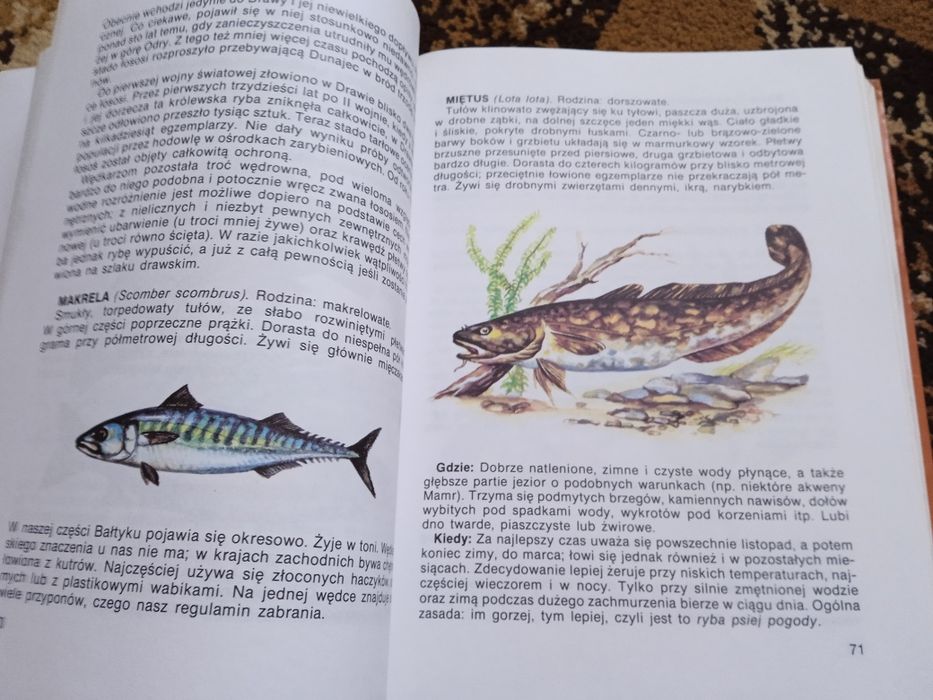 Wędkarstwo nowoczesne