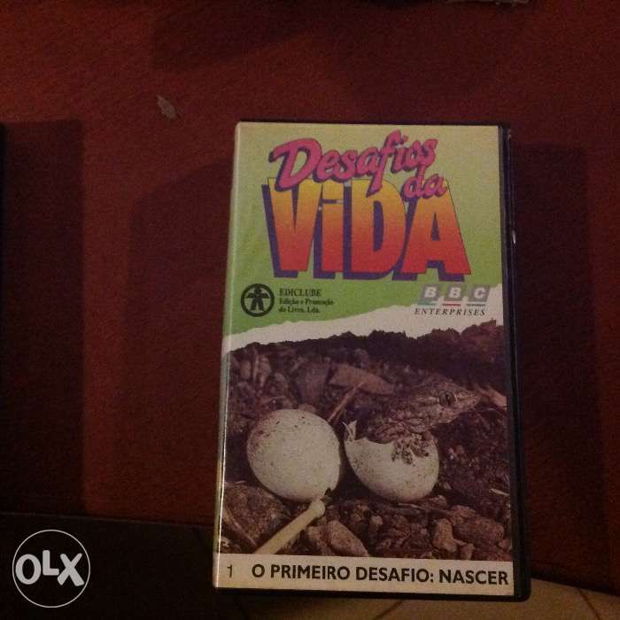 Cassettes desafio da Vida