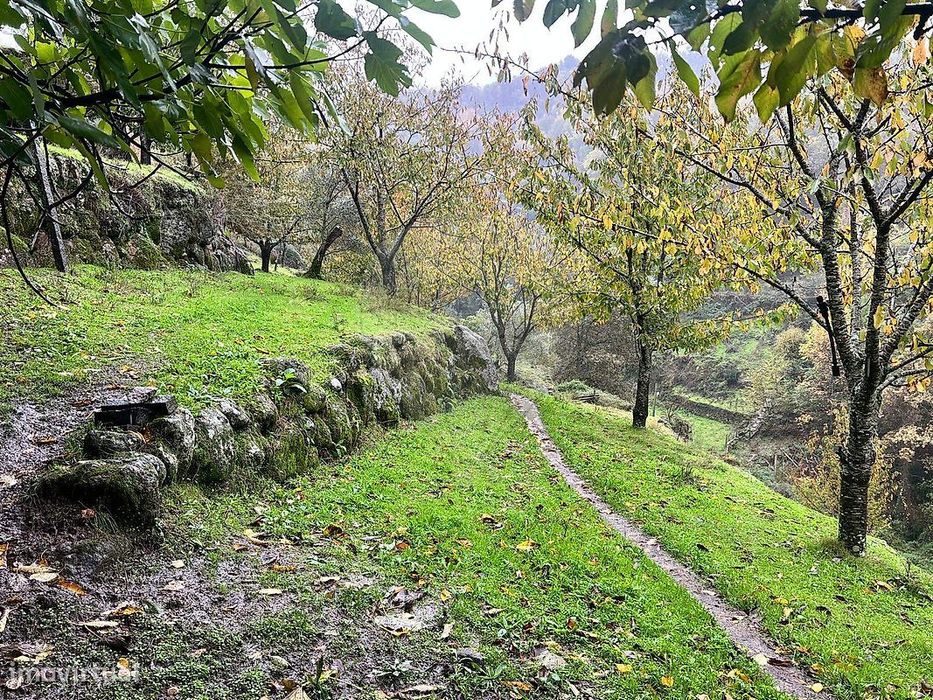 Terreno  para venda — Anreade E São Romão De Aregos, Viseu