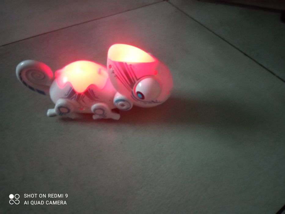 Kameleon interaktywny