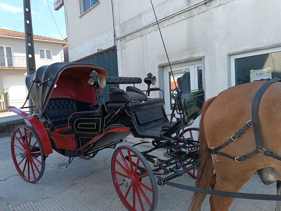 Passeio e batismo a cavalo