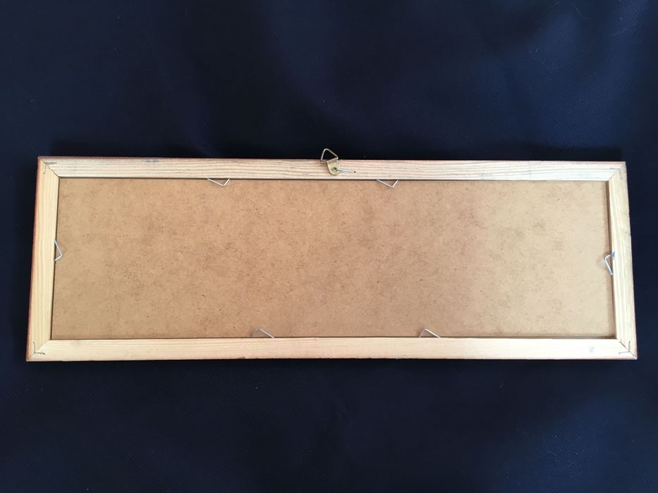 Obrazek, foto, storczyki 37,5x 12,5 cm