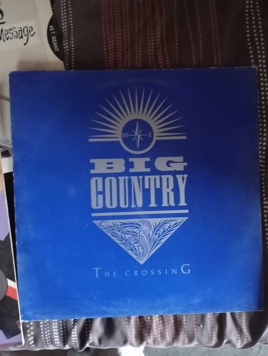 Vendo lote de vinis diversos, em bom estado