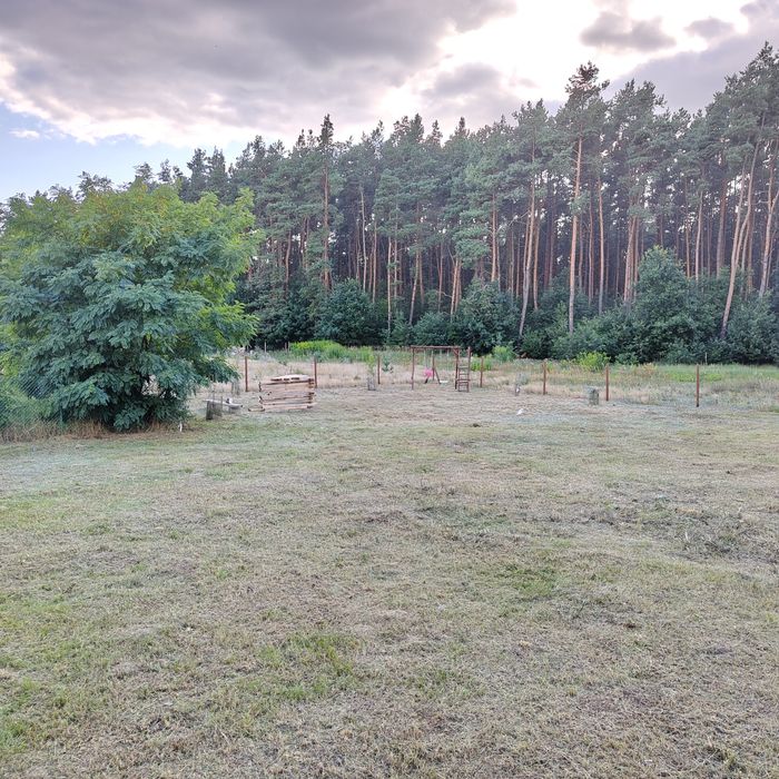 Działka budowlana pod lasem Wudzyn