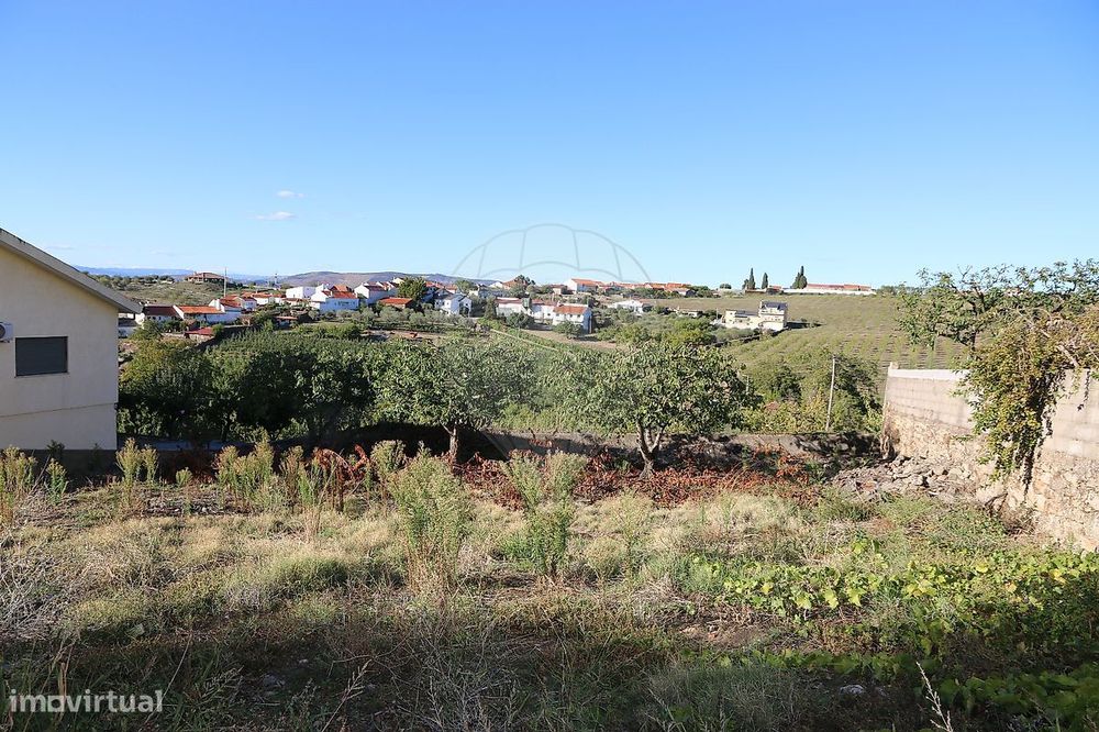 Terreno  para venda — São João Da Pesqueira E Várzea De Trevões, Viseu