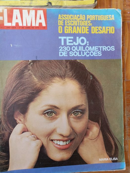 6 revistas Flama