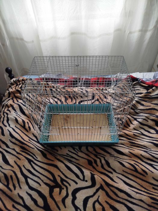 Gaiolas em bom estado