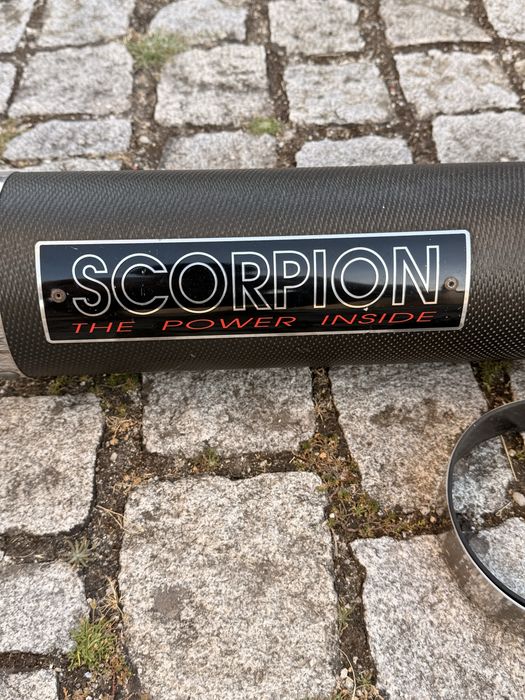 Escape scorpion.