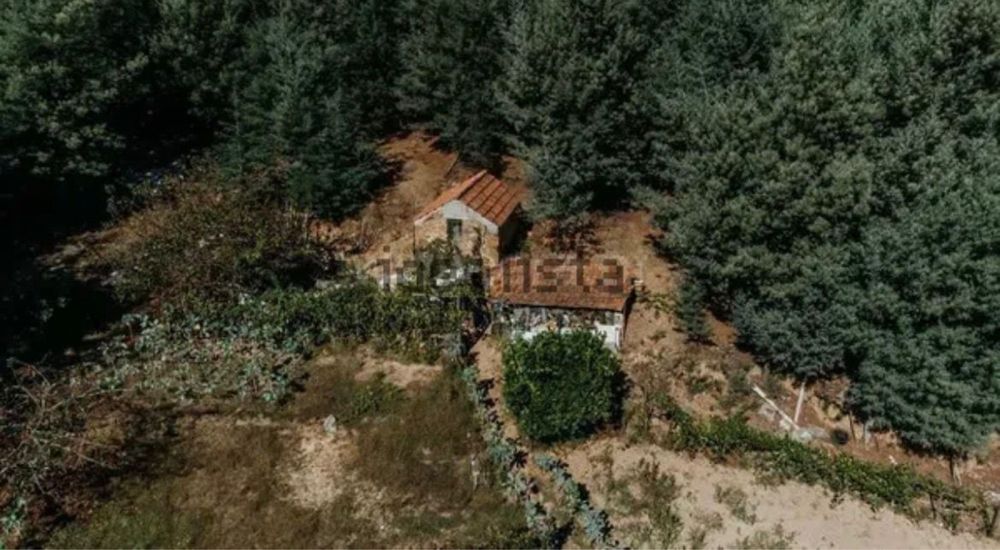 Terreno com cerca de 30000 m2 na Povoa das Quartas (O. do Hospital)