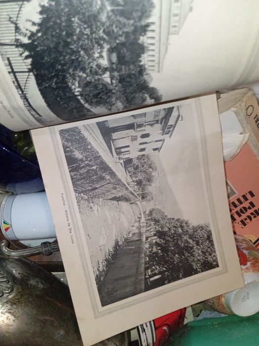 Imagens Funchal pequeno livro