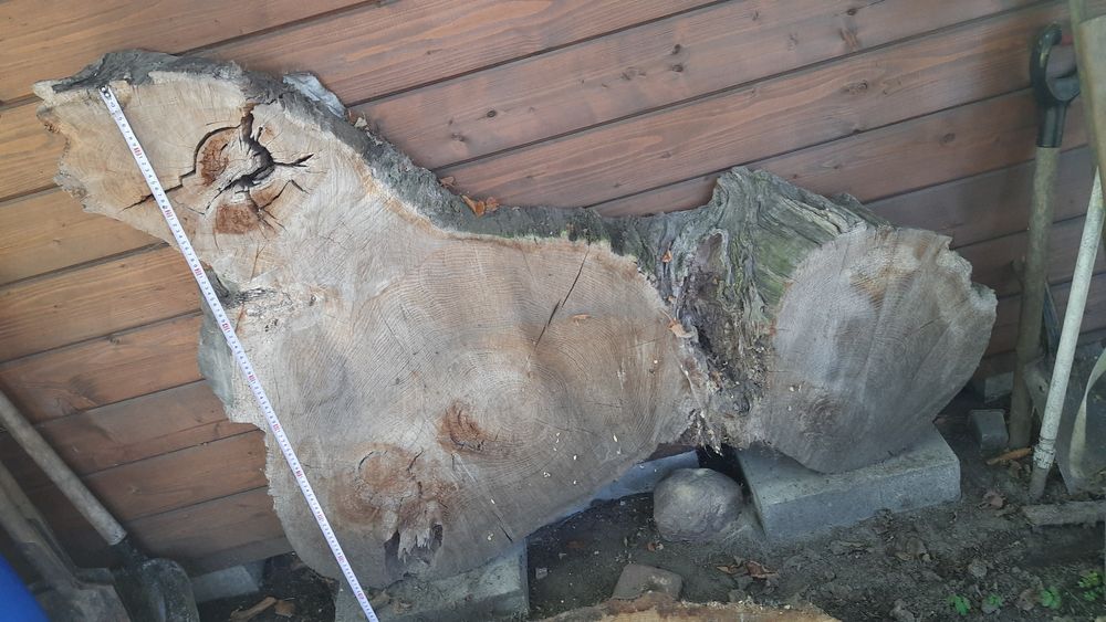 plastry drewniane na stół