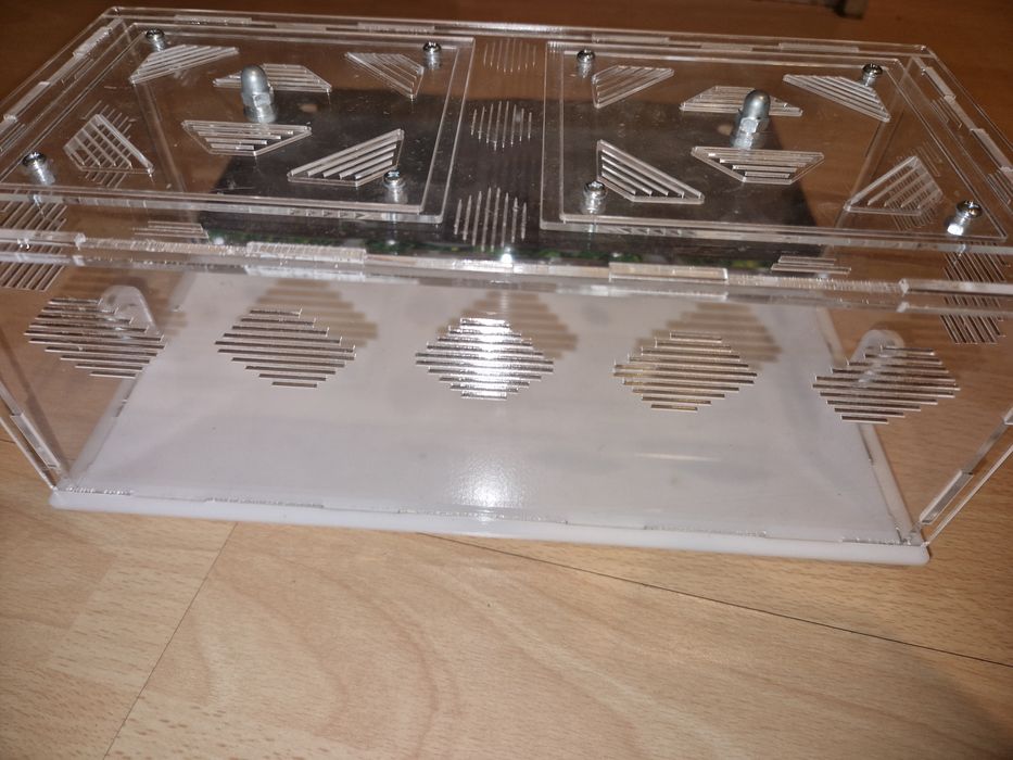 Terrarium dla mrówek
