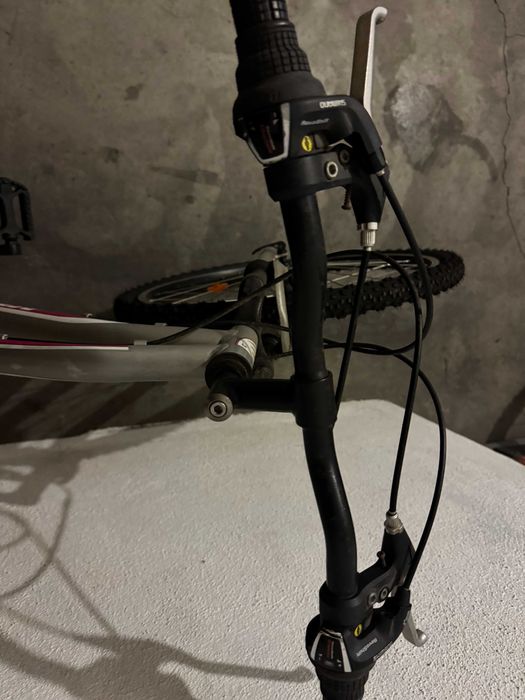 Bicicleta BERG senhora