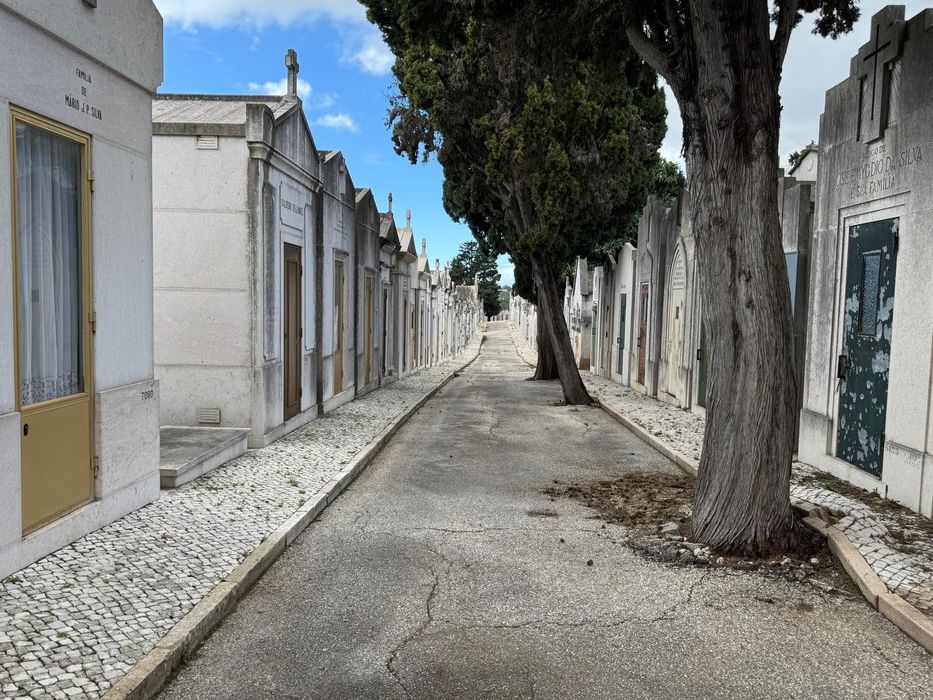 JAZIGO - Cemitério dos Prazeres - OPORTUNIDADE