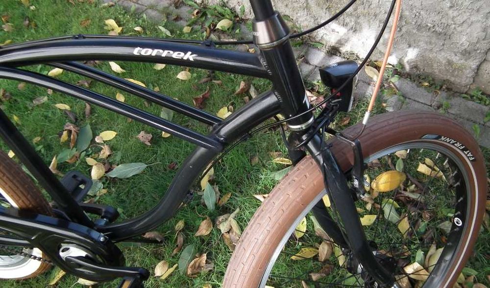Cruiser rower alu nexus shimano shwalbe
