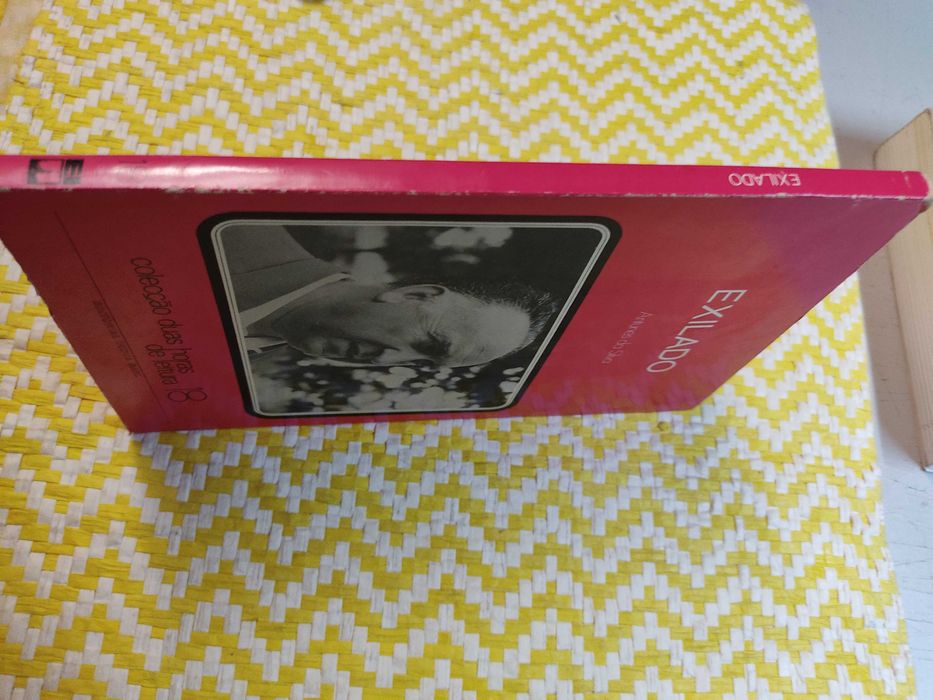 EXILADO
Autor: Antunes Silva